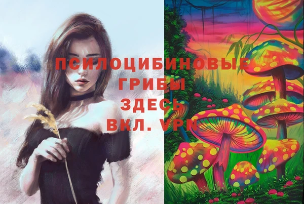 трава Беломорск