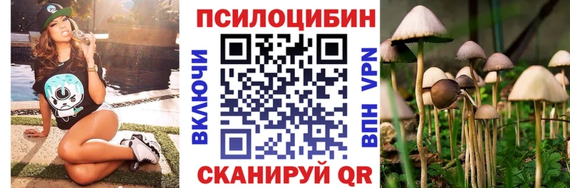 Галлюциногенные грибы Psilocybine cubensis  магазин продажи   Вуктыл 